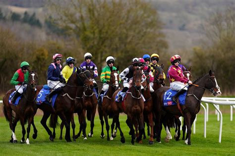 Cheltenham day three: 33.